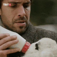 Milk Sheep GIF by TRT