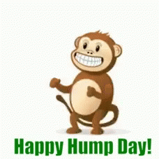 Happy Hump Day GIF