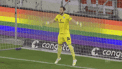 Sankt Pauli Goalkeeper GIF by FC St. Pauli