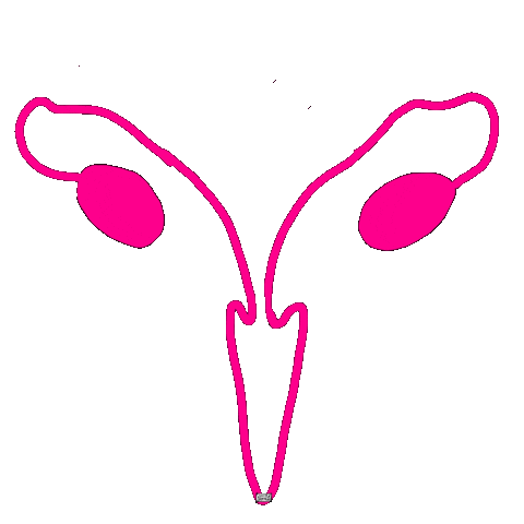 Black Lives Matter Feminism Sticker