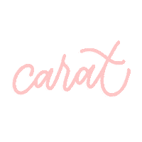 dinonaras kpop seventeen dino svt Sticker