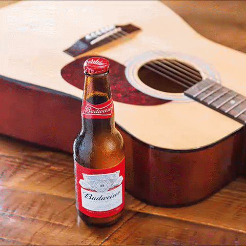 GIF by Budweiser Canada