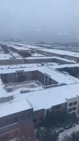 Snow Covers Dallas as Record-Setting Winter Storm Hits North Texas