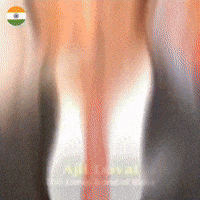 India GIF