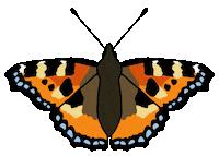 Creepy Crawlies Butterfly Sticker