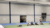 Bsubeavers GIF by Bemidji State Beavers