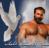 Jack Radcliffe Gay GIF by Database數據