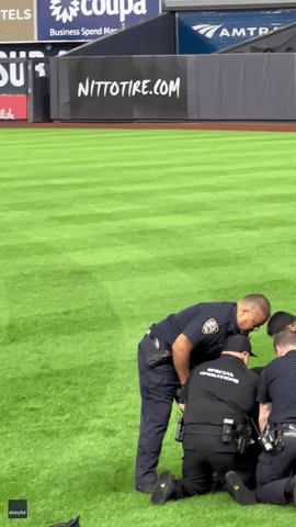 Starling Marte Watches as Security Tackles Invader