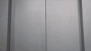 jenny verrast GIF by VTM.be