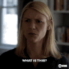 homeland GIF by Showtime