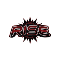 Rise Ccs Sticker by Cheer Central Suns