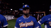 World Baseball Classic Sport GIF by MLB