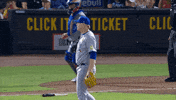 Blue Jays Baseball GIF by Toronto Blue Jays