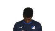 Look Up Tsg Hoffenheim Sticker by Bundesliga