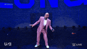 Wwe Wrestling GIF by USA Network