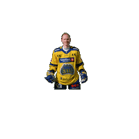 Jubel Sticker by Storhamar Hockey