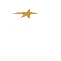 Bri 70 Anos Sticker by Britânia Eletro
