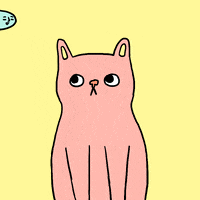 cat fish GIF by Percolate Galactic