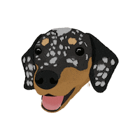 Art Dog Sticker