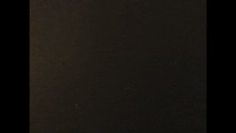 Laurencepayotliveart giphygifmaker GIF