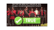 Team Fortress 2 Sticker