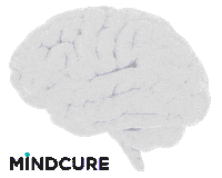 Mental Health Brain Sticker by MINDCURE