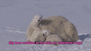 valentines day kids GIF by Studio 360