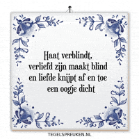 Nl Spanning GIF by Tegelspreuken.nl