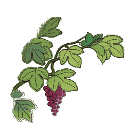 Sticker by Mouton Cadet