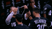 chain sox GIF by MLB