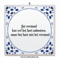 Humor Spreuk GIF by Tegelspreuken.nl