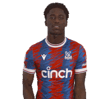 Lets Go Win Sticker by Crystal Palace Football Club