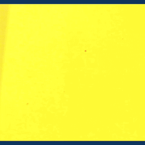 manusemo giphyupload GIF