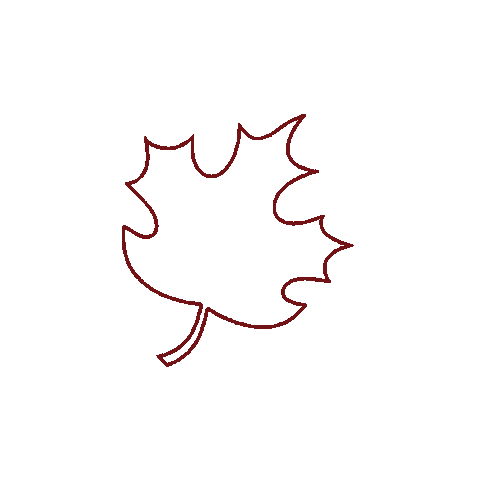 Maplestreetbiscuits giphyupload maple street maple street biscuit company Sticker