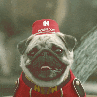 I Know Smile GIF by bellpughotelscom