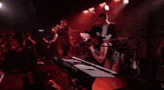 dive bar tour GIF by Lady Gaga