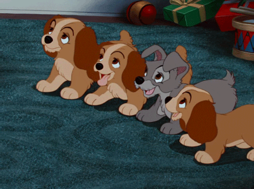 Cartoon gif. The puppies from the Lady and The Tramp look up, wagging all their tails and smiling.