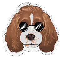 Dog Summer Sticker