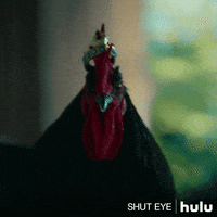 shut eye on hulu GIF by HULU