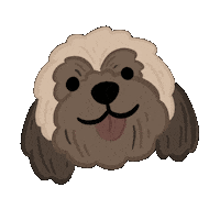 Happy Shih Tzu Sticker by Ann of Facedit