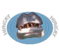 Sticker by Al Ain Zoo