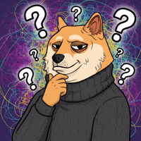 Shiba Inu What GIF by Doge Pound
