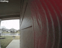 Texas Man Slips On Icy Sidewalk GIF by ViralHog