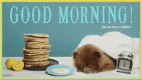 Good_Morning_1.mp4