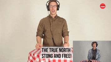 THE TRUE NORTH