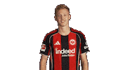 Eintracht Frankfurt Sticker by Bundesliga