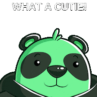 Panda Smile Sticker by SuperVerse