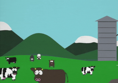 barn GIF by South Park 
