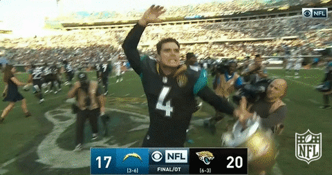 Celebrate Jacksonville Jaguars GIF by NFL