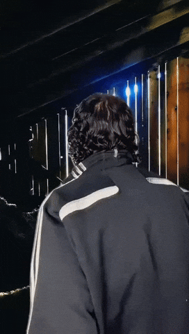 discovery from the wrecks